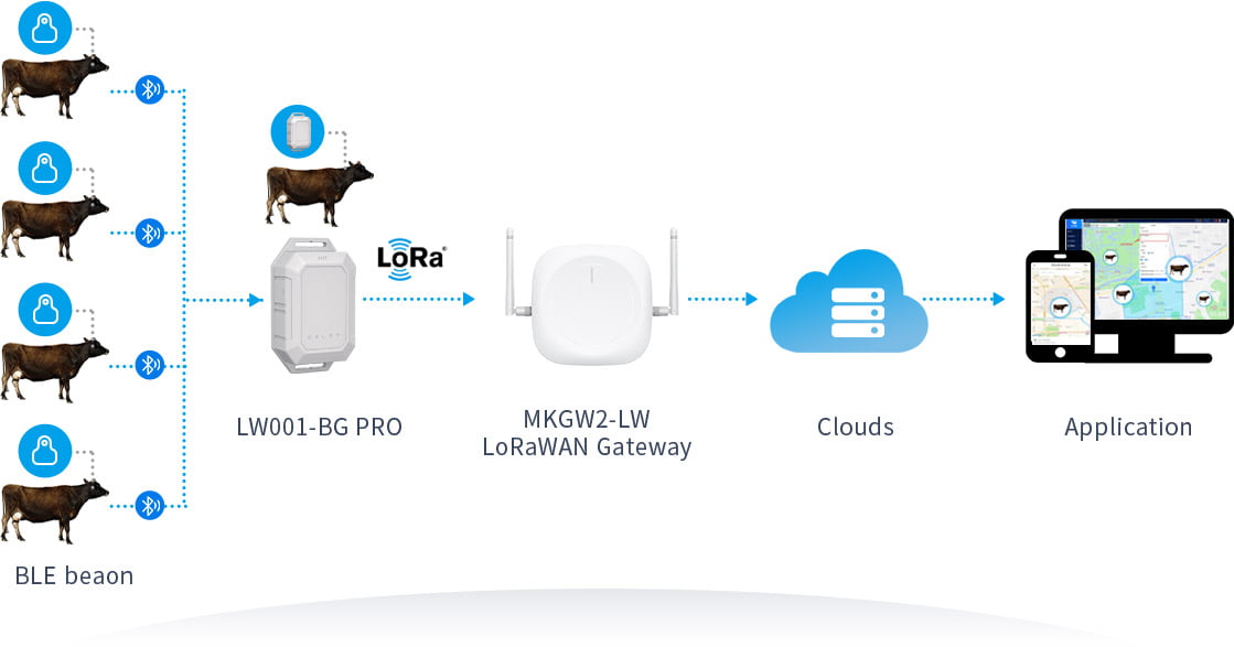 MOKOLoRa livestock tracking solution in Australian pasture